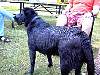 DSC00036.JPG