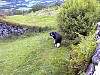 LastDayinRindal16.jpg