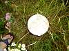 DSC00128.JPG