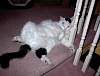 DSC00038.JPG