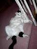 DSC00039.JPG