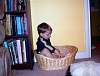 DSC00052.JPG