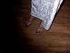 DSC00054.JPG