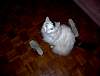 DSC00015.JPG